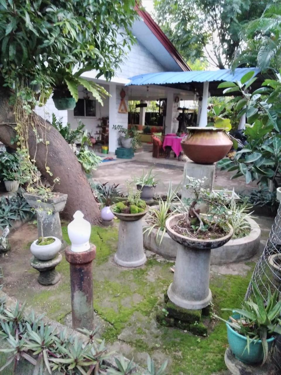 Hotel Rock Cascade Polonnaruwa Exterior foto